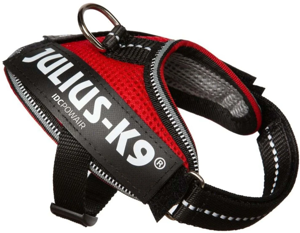 Julius K9 IDC Powair Diržas Raudonas – Lengvas Kvėpuojantis Tinklelio Šunų Diržas, XXL Dydis