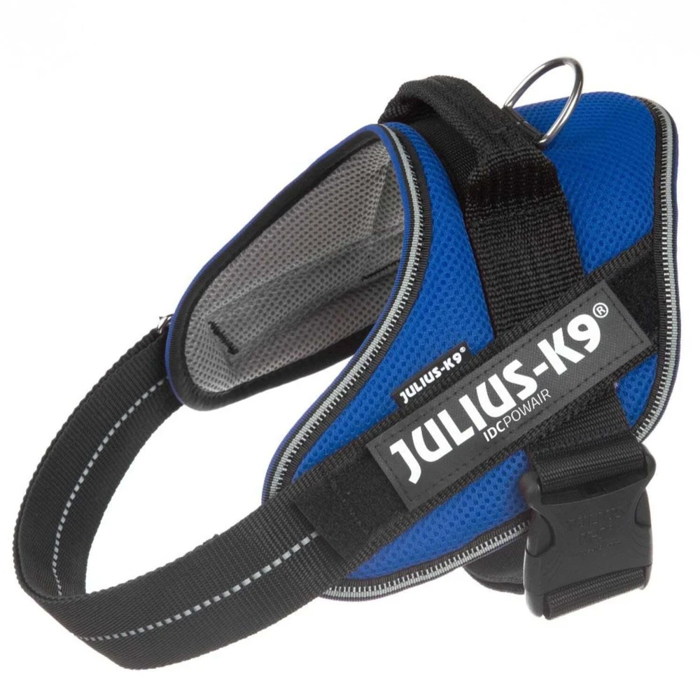Julius K9 IDC Powair Mėlynas Diržas – Lengvas kvėpuojantis tinklelinis šunų diržas, XXL dydis