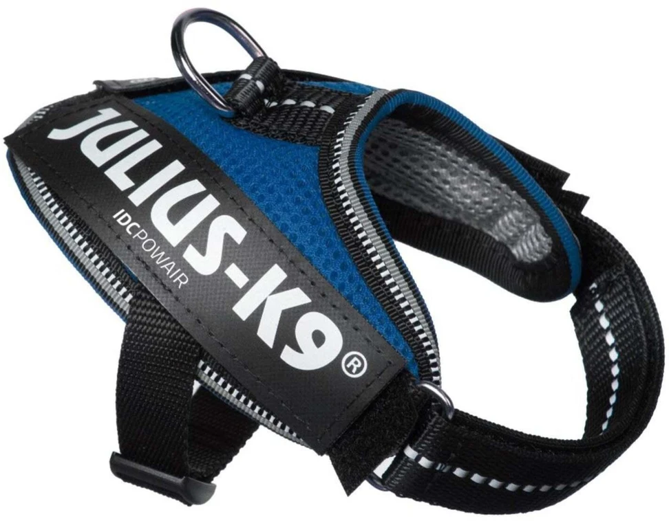 Julius K9 IDC Powair Mėlynas Diržas – Lengvas kvėpuojantis tinklelinis šunų diržas, XXL dydis