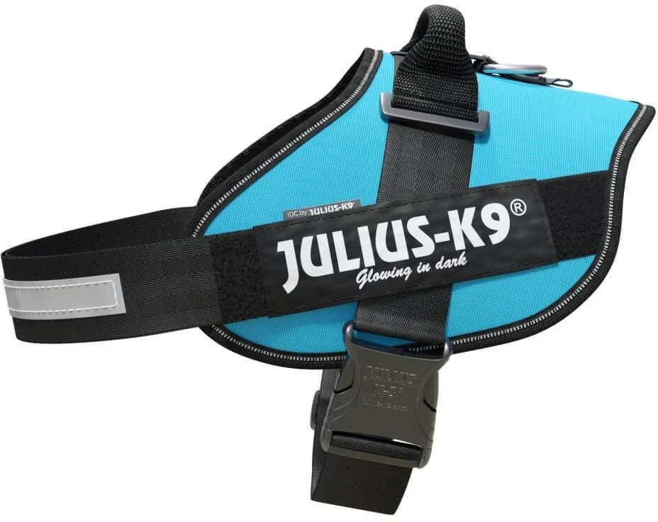 Julius-K9 IDC Powerharness Aquamarine – Premium turkio diržas, reguliuojamas, 1 dydis
