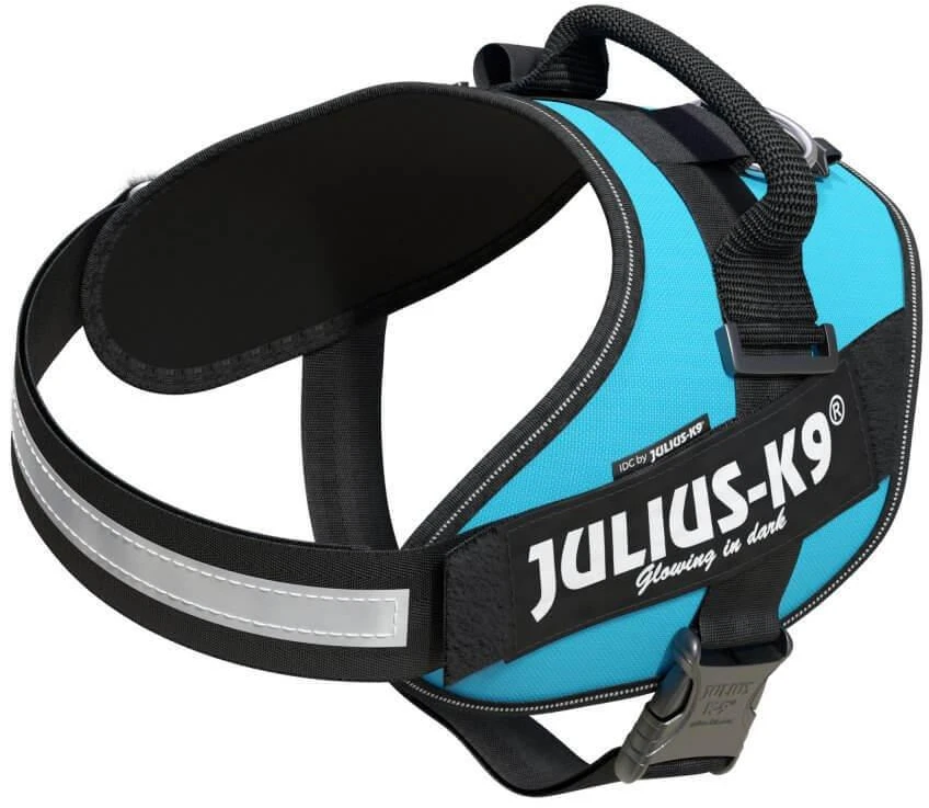 Julius-K9 IDC Powerharness Aquamarine – Premium turkio diržas, reguliuojamas, 1 dydis