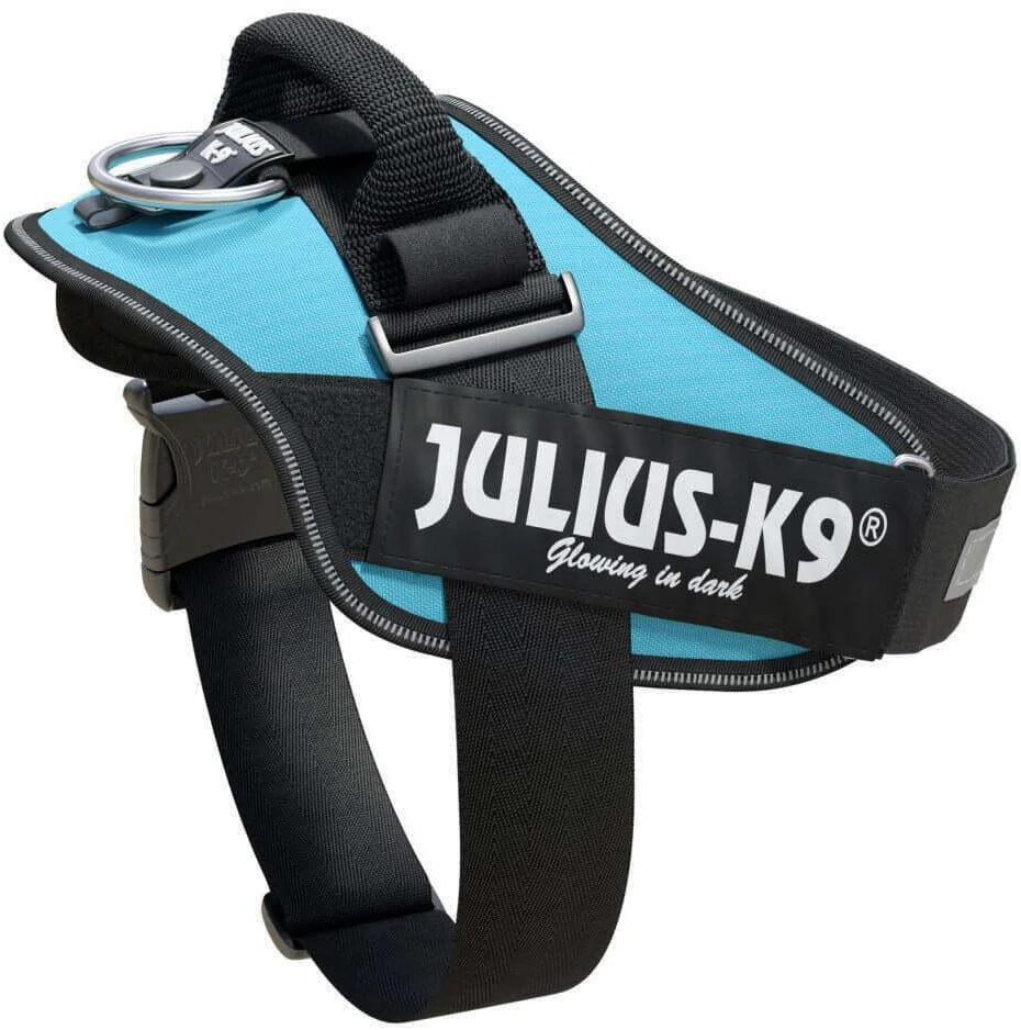 Julius-K9 IDC Powerharness Aquamarine – Premium turkio diržas, reguliuojamas, 1 dydis