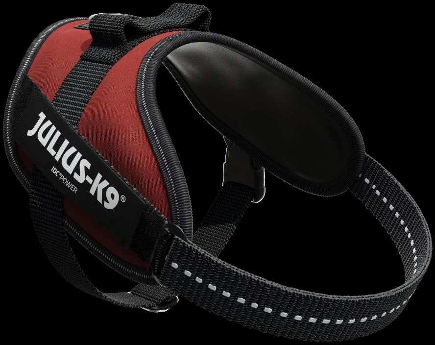 Julius-K9 IDC Powerharness Bordo-Ruda – Premium reguliuojama šunų pavadėlė, bordo, 3 dydis