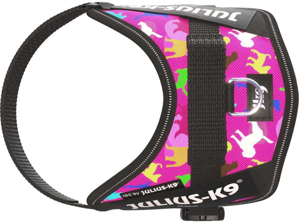Julius-K9 IDC Powerharness Dogz – Atspindintis šunų pavadėlis su spalvingu raštu, 0 dydis
