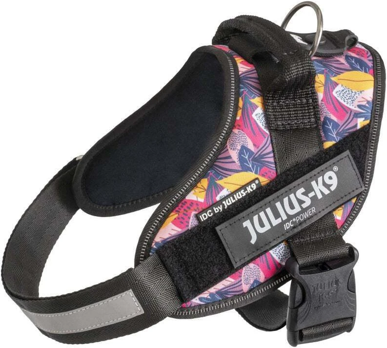 Julius-K9 IDC Powerharness Leaf2 – Auksinio rašto pakinktai, ilgaamžiškumas ir patogus dizainas