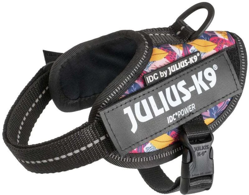 Julius-K9 IDC Powerharness Leaf2 – Auksinio rašto pakinktai, ilgaamžiškumas ir patogus dizainas