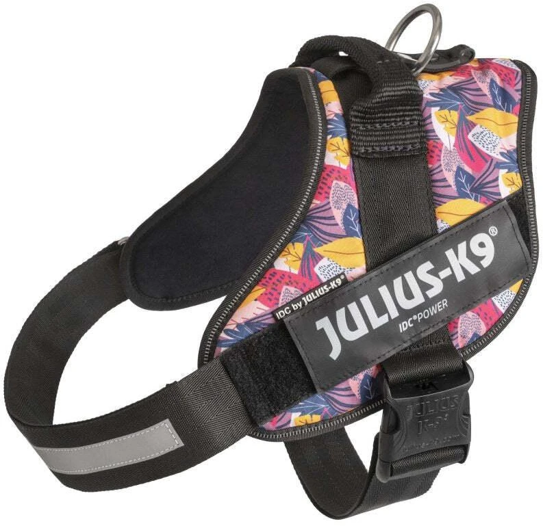 Julius-K9 IDC Powerharness Leaf2 – Auksinio rašto pakinktai, ilgaamžiškumas ir patogus dizainas