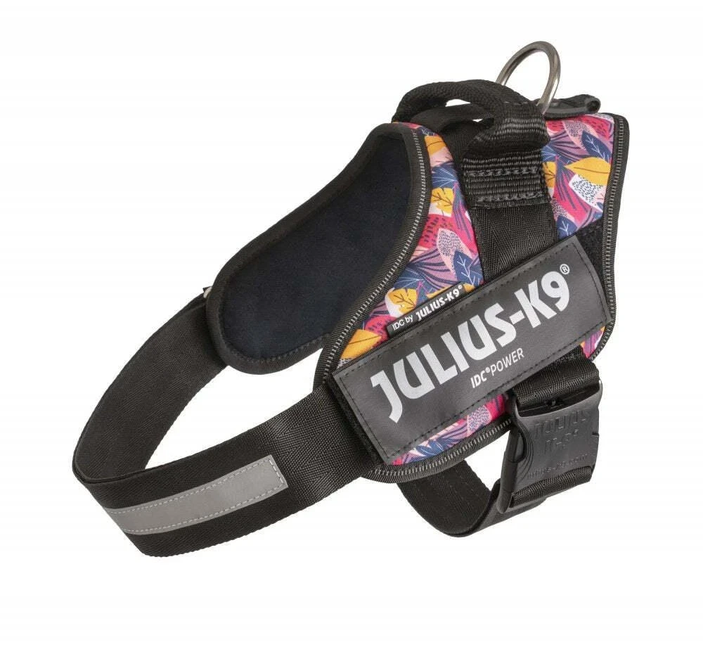 Julius-K9 IDC Powerharness Leaf2 – Auksinio rašto pakinktai, ilgaamžiškumas ir patogus dizainas
