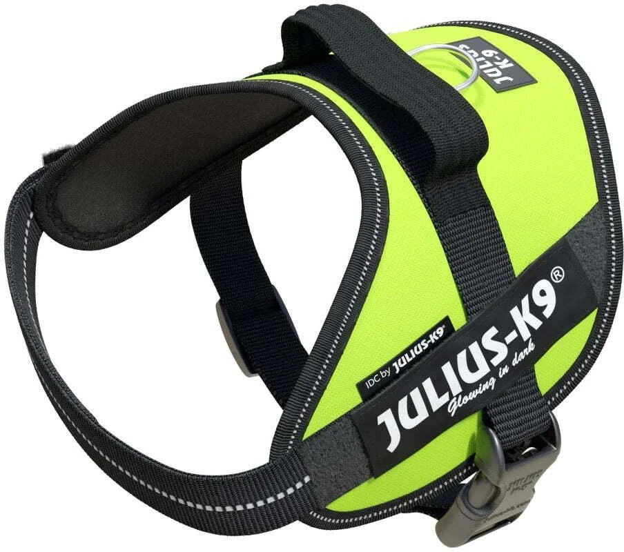 Julius-K9 IDC Powerharness Lime – aukščiausios kokybės reguliuojamas diržas, ryškios lime spalvos, 3 dydis