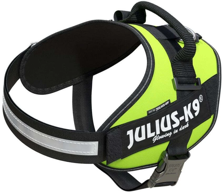 Julius-K9 IDC Powerharness Lime – aukščiausios kokybės reguliuojamas diržas, ryškios lime spalvos, 3 dydis
