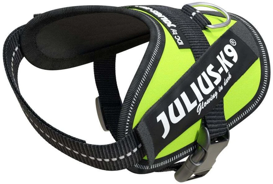 Julius-K9 IDC Powerharness Lime – aukščiausios kokybės reguliuojamas diržas, ryškios lime spalvos, 3 dydis