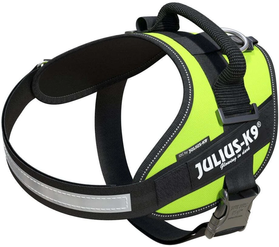 Julius-K9 IDC Powerharness Lime – aukščiausios kokybės reguliuojamas diržas, ryškios lime spalvos, 3 dydis