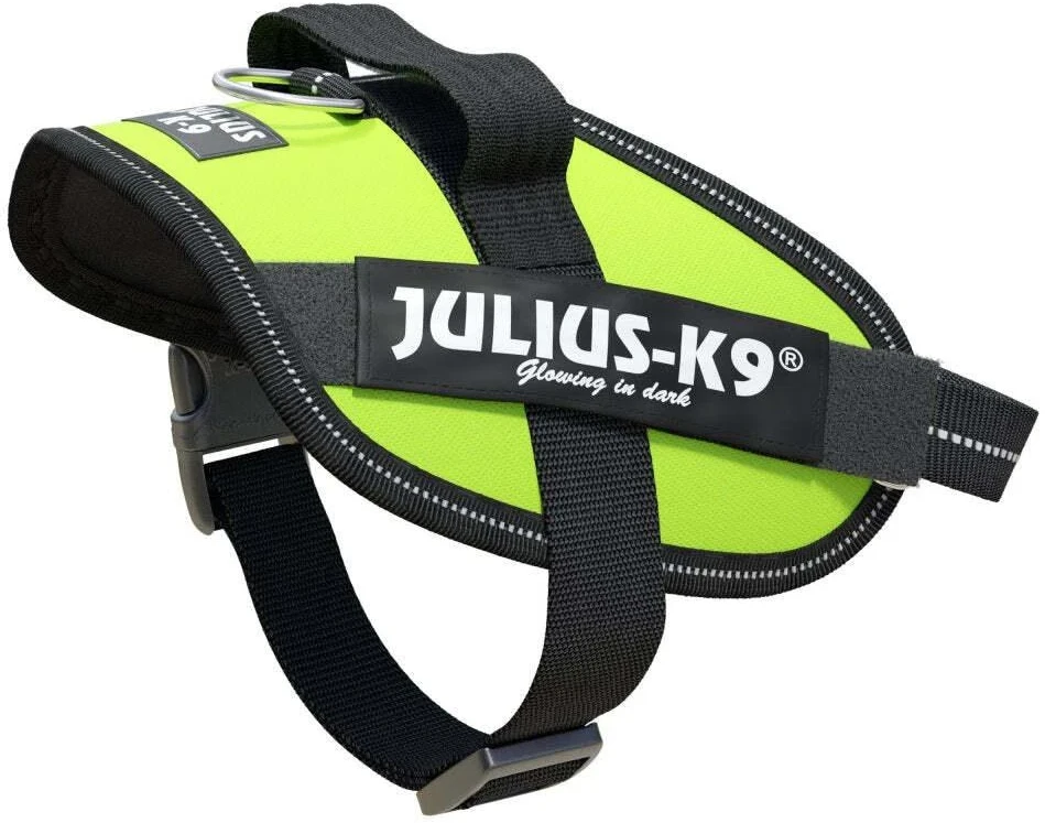 Julius-K9 IDC Powerharness Lime – aukščiausios kokybės reguliuojamas diržas, ryškios lime spalvos, 3 dydis