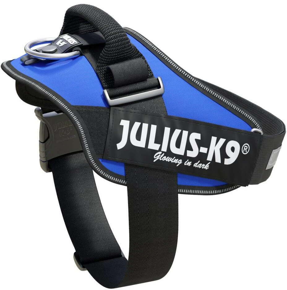 Julius-K9 IDC Powerharness Mėlynas – Aukščiausios kokybės reguliuojamas diržas, patvari konstrukcija, 4 dydis