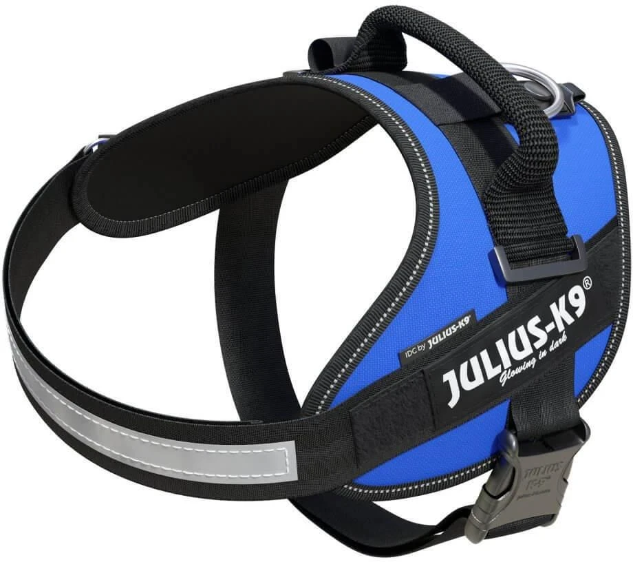 Julius-K9 IDC Powerharness Mėlynas – Aukščiausios kokybės reguliuojamas diržas, patvari konstrukcija, 4 dydis