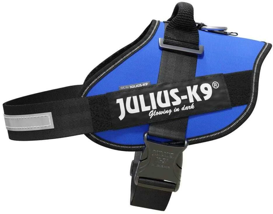 Julius-K9 IDC Powerharness Mėlynas – Aukščiausios kokybės reguliuojamas diržas, patvari konstrukcija, 4 dydis