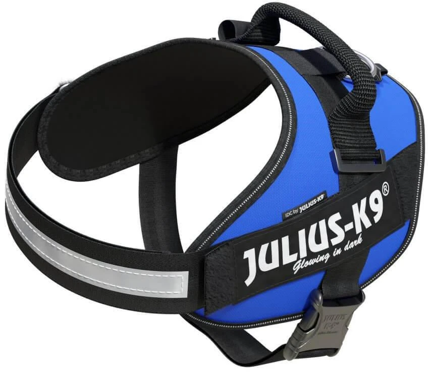 Julius-K9 IDC Powerharness Mėlynas – Aukščiausios kokybės reguliuojamas diržas, patvari konstrukcija, 4 dydis