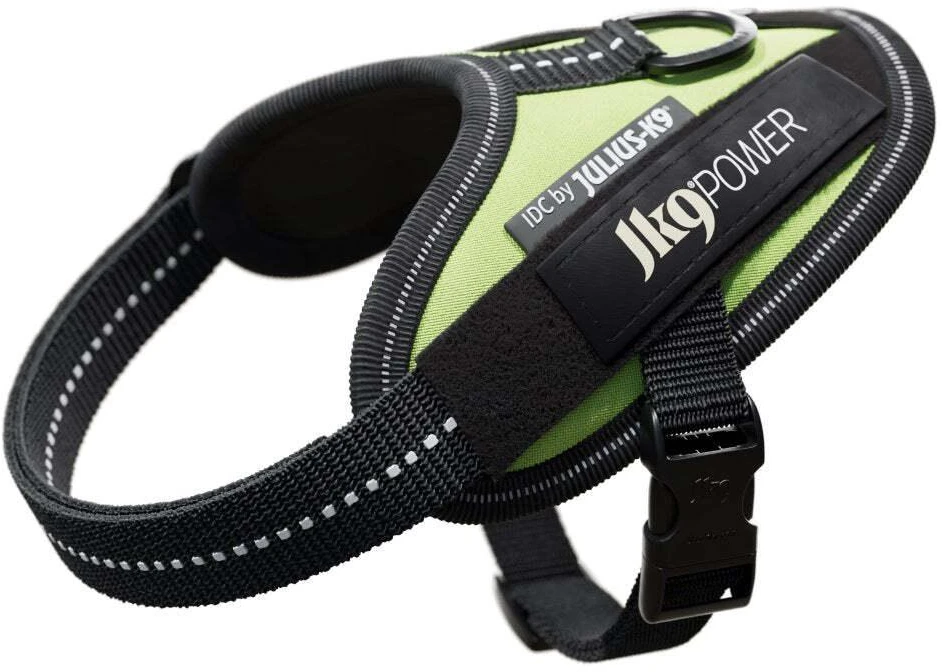 Julius-K9 IDC Powerharness Neonožaliai žalia – Aukščiausios kokybės reguliuojamas diržas, Mini-Mini dydis, Didelio matomumo dizainas