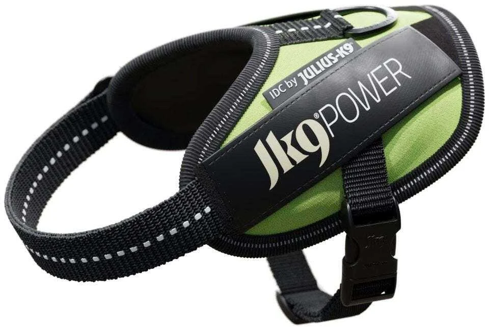 Julius-K9 IDC Powerharness Neonožaliai žalia – Aukščiausios kokybės reguliuojamas diržas, Mini-Mini dydis, Didelio matomumo dizainas