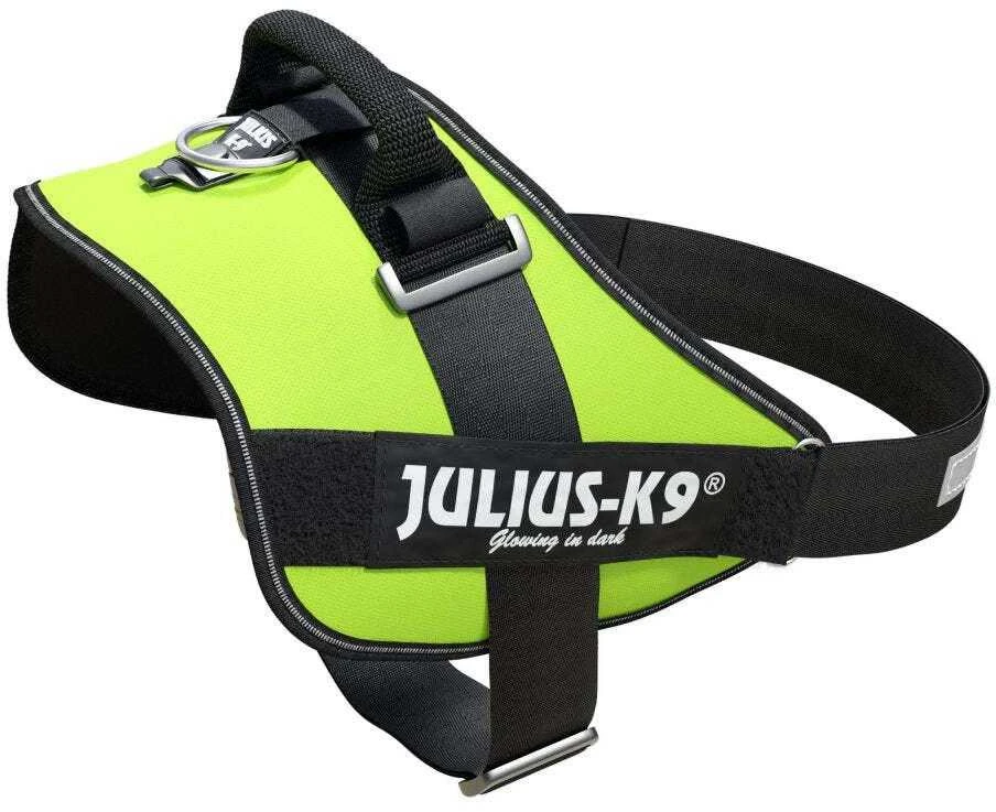 Julius-K9 IDC Powerharness Neonožaliai žalia – Aukščiausios kokybės reguliuojamas diržas, Mini-Mini dydis, Didelio matomumo dizainas