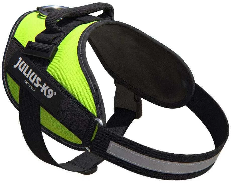 Julius-K9 IDC Powerharness Neonožaliai žalia – Aukščiausios kokybės reguliuojamas diržas, Mini-Mini dydis, Didelio matomumo dizainas