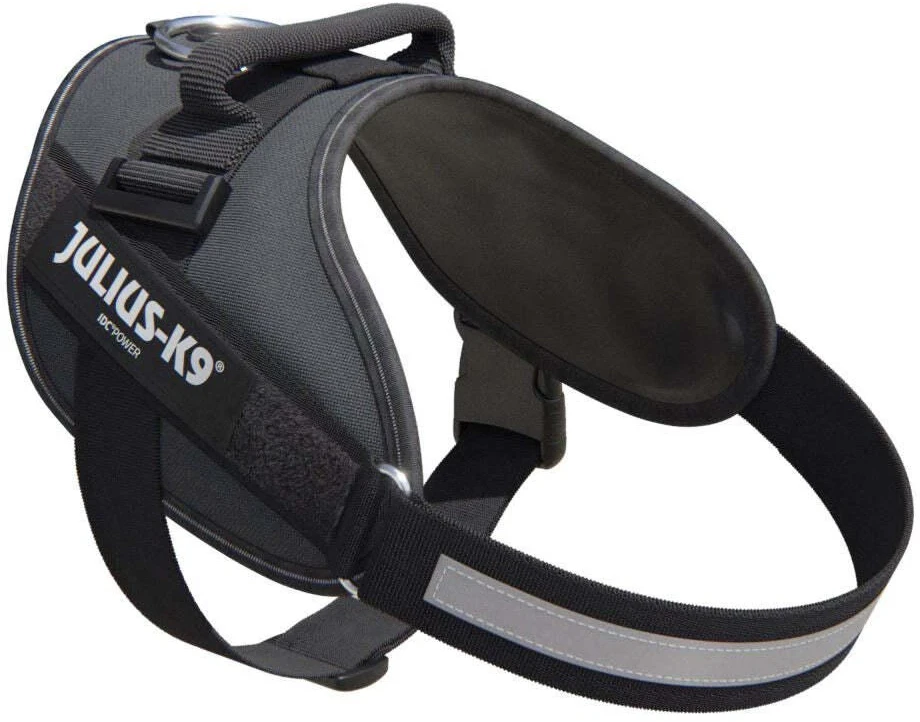 Julius-K9 IDC Powerharness pilkas – Premium reguliuojama petnešėlė, Mini-Mini dydis, ilgaamžė konstrukcija