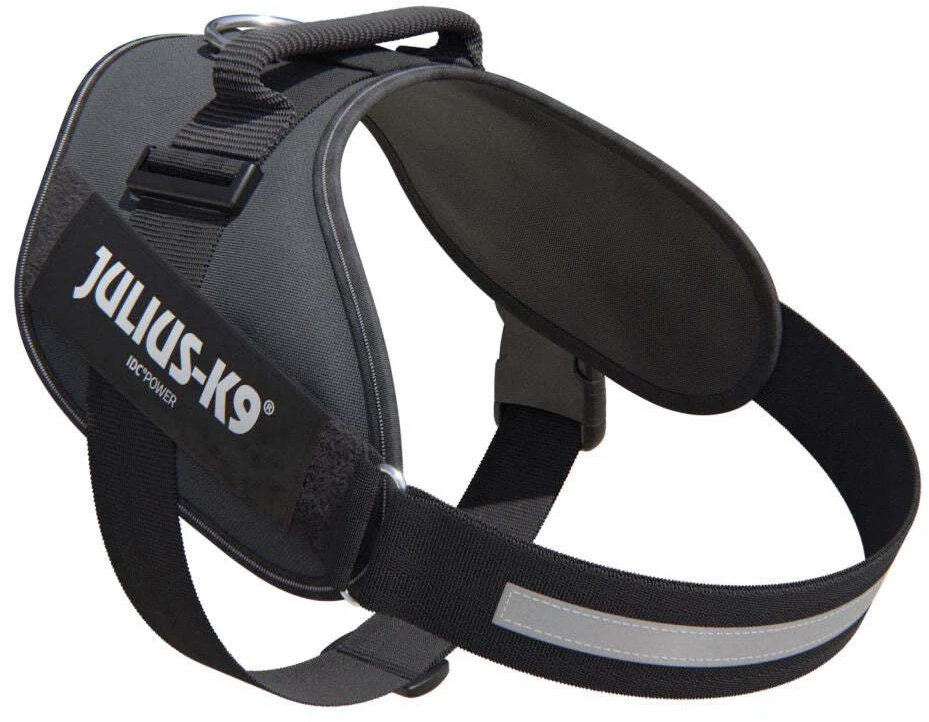 Julius-K9 IDC Powerharness pilkas – Premium reguliuojama petnešėlė, Mini-Mini dydis, ilgaamžė konstrukcija