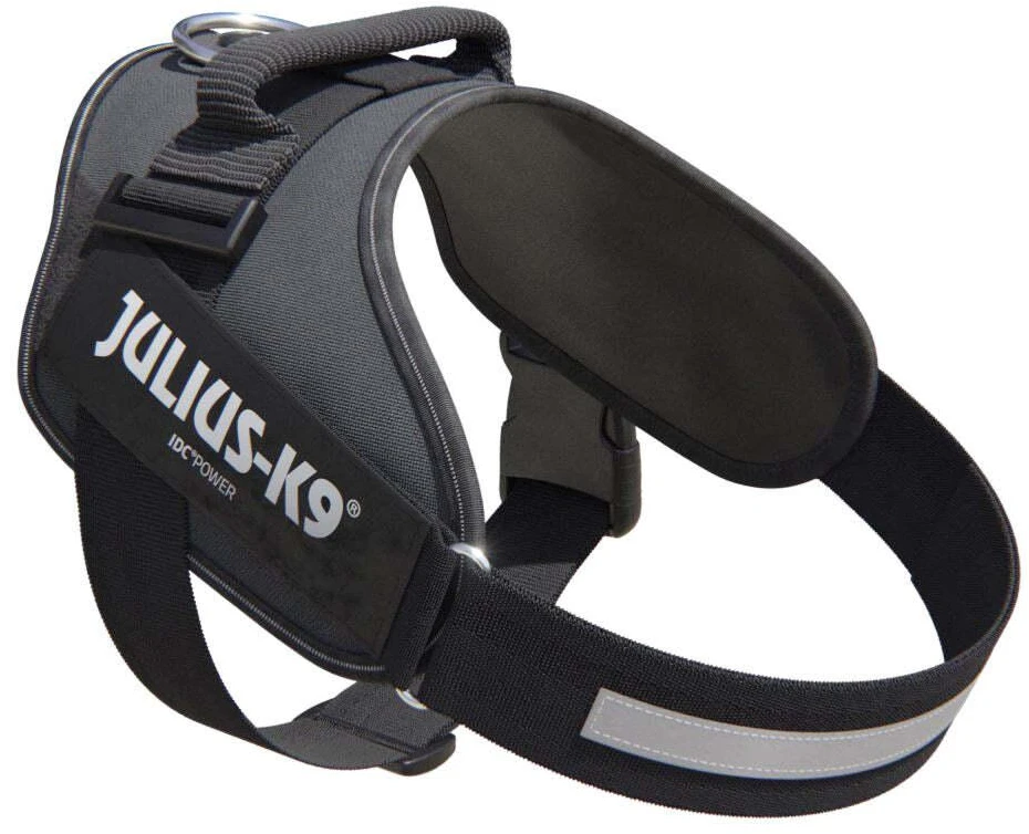 Julius-K9 IDC Powerharness pilkas – Premium reguliuojama petnešėlė, Mini-Mini dydis, ilgaamžė konstrukcija