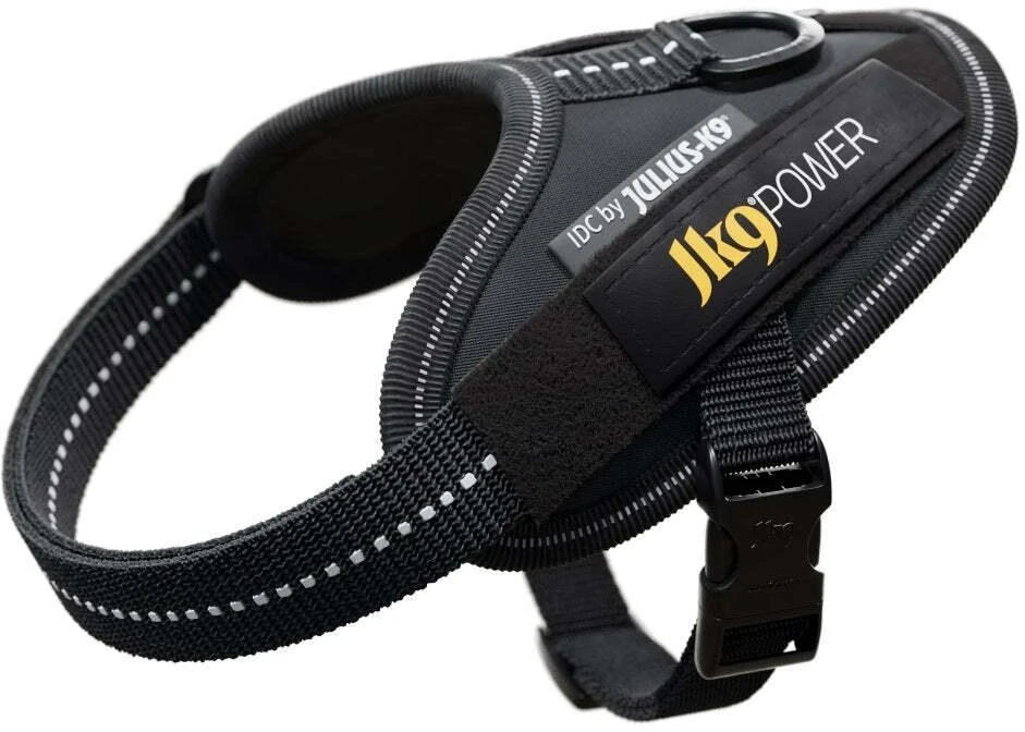 Julius-K9 IDC Powerharness pilkas – Premium reguliuojama petnešėlė, Mini-Mini dydis, ilgaamžė konstrukcija
