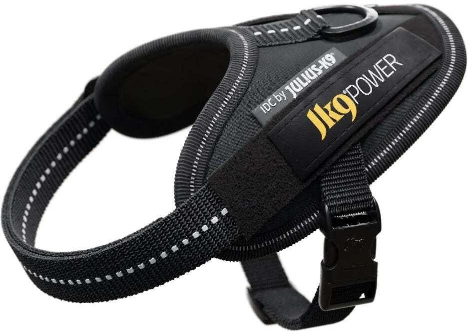 Julius-K9 IDC Powerharness pilkas – Premium reguliuojama petnešėlė, Mini-Mini dydis, ilgaamžė konstrukcija