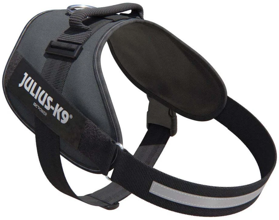 Julius-K9 IDC Powerharness pilkas – Premium reguliuojama petnešėlė, Mini-Mini dydis, ilgaamžė konstrukcija