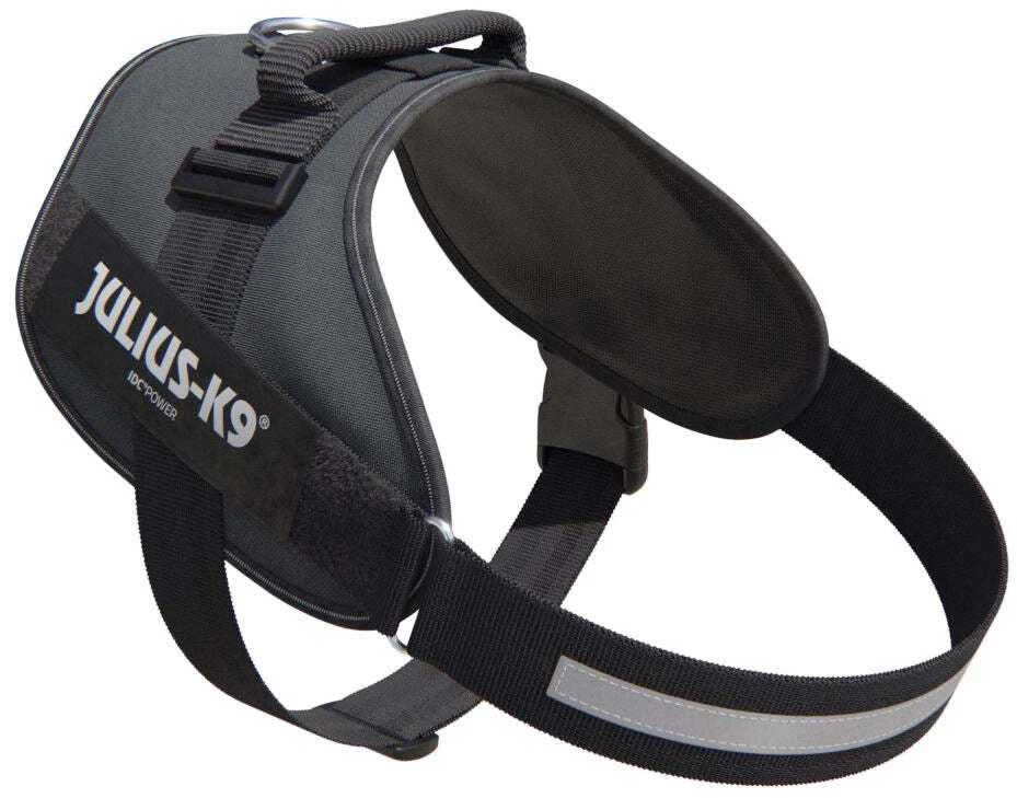 Julius-K9 IDC Powerharness pilkas – Premium reguliuojama petnešėlė, Mini-Mini dydis, ilgaamžė konstrukcija
