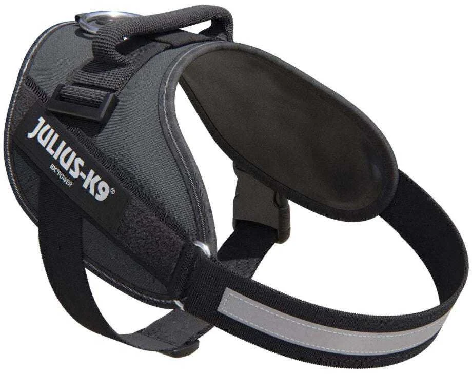 Julius-K9 IDC Powerharness pilkas – Premium reguliuojama petnešėlė, Mini-Mini dydis, ilgaamžė konstrukcija