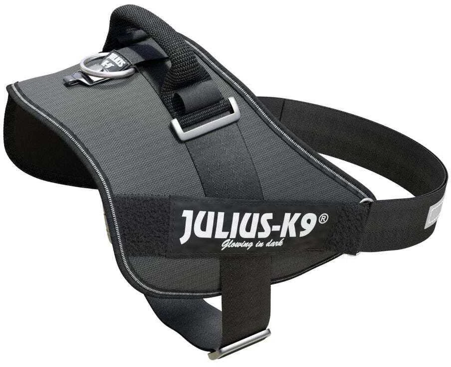 Julius-K9 IDC Powerharness pilkas – Premium reguliuojama petnešėlė, Mini-Mini dydis, ilgaamžė konstrukcija