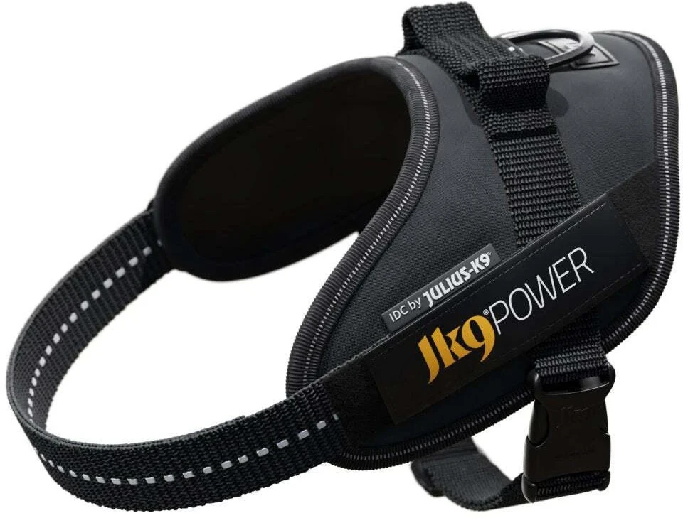 Julius-K9 IDC Powerharness pilkas – Premium reguliuojama petnešėlė, Mini-Mini dydis, ilgaamžė konstrukcija