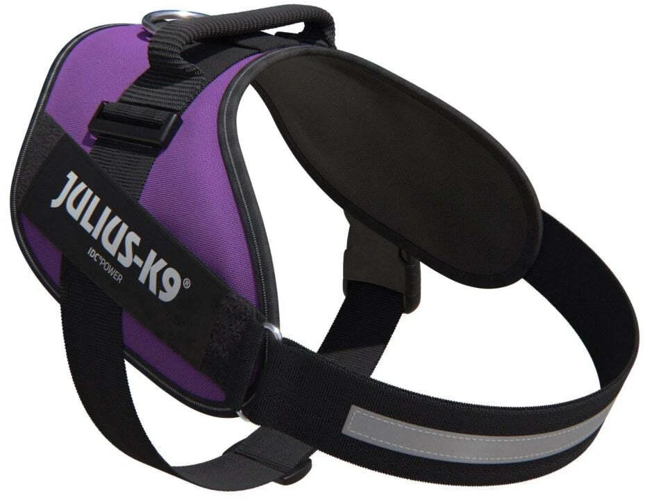 Julius-K9 IDC Powerharness tamsiai violetinė – Premium reguliuojamas šunų pakinktas, 1 dydžio (Baby 1)