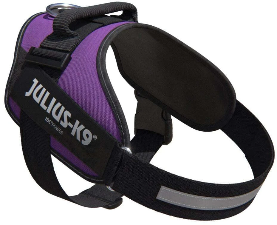 Julius-K9 IDC Powerharness tamsiai violetinė – Premium reguliuojamas šunų pakinktas, 1 dydžio (Baby 1)