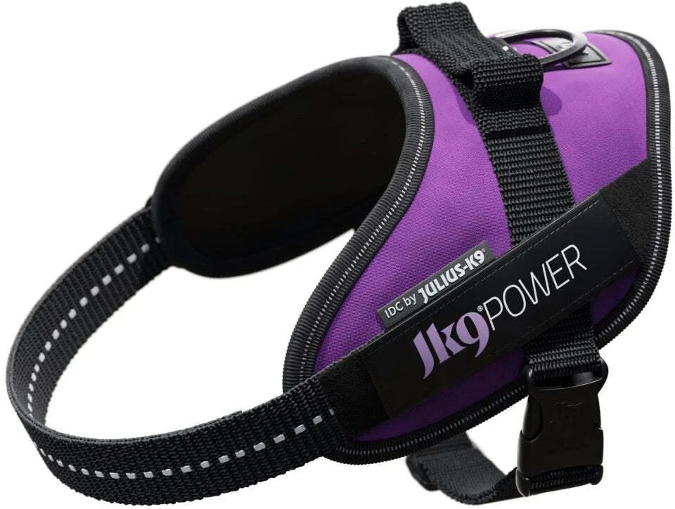 Julius-K9 IDC Powerharness tamsiai violetinė – Premium reguliuojamas šunų pakinktas, 1 dydžio (Baby 1)