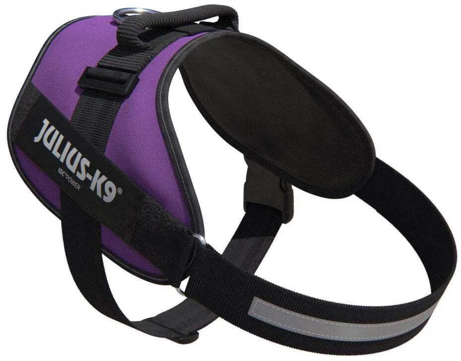Julius-K9 IDC Powerharness tamsiai violetinė – Premium reguliuojamas šunų pakinktas, 1 dydžio (Baby 1)