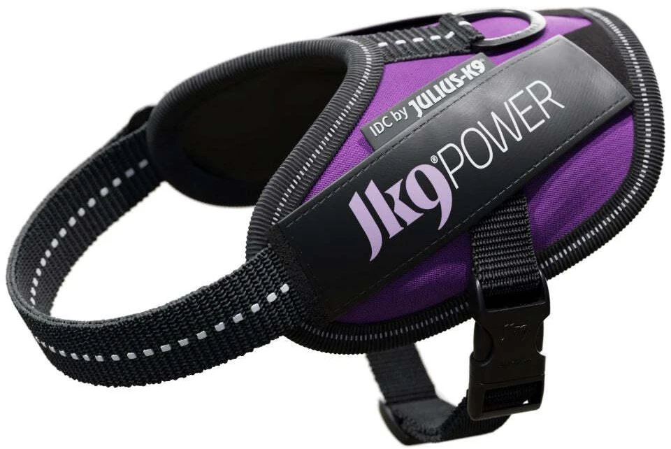 Julius-K9 IDC Powerharness tamsiai violetinė – Premium reguliuojamas šunų pakinktas, 1 dydžio (Baby 1)