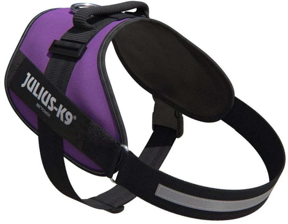 Julius-K9 IDC Powerharness tamsiai violetinė – Premium reguliuojamas šunų pakinktas, 1 dydžio (Baby 1)
