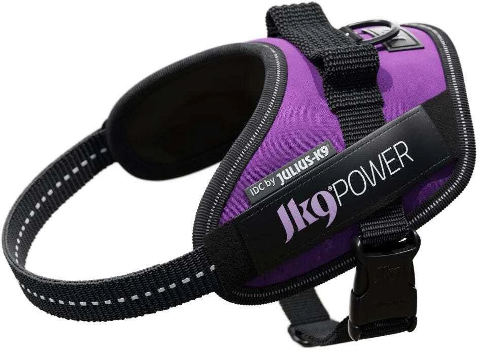Julius-K9 IDC Powerharness tamsiai violetinė – Premium reguliuojamas šunų pakinktas, 1 dydžio (Baby 1)