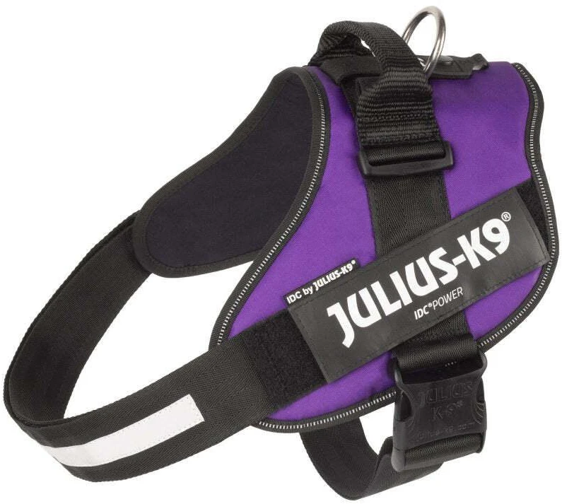 Julius-K9 IDC Powerharness tamsiai violetinė – Premium reguliuojamas šunų pakinktas, 1 dydžio (Baby 1)