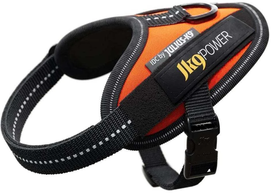 Julius-K9 IDC Powerharness UV Oranžinė – Premium reguliuojama pavadėlio jungtis, 4 dydis, itin ryškus dizainas