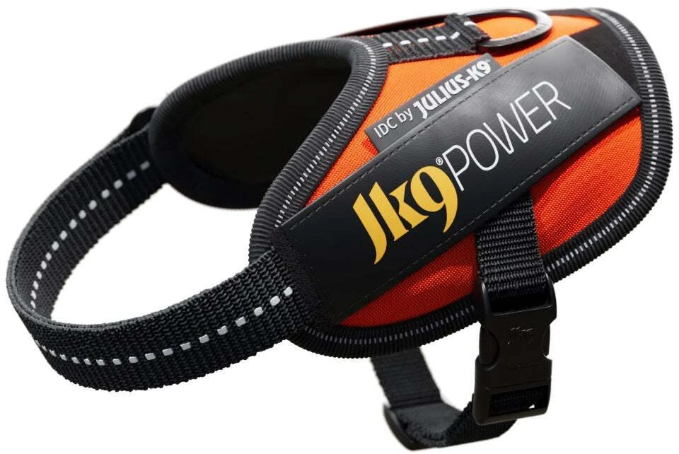 Julius-K9 IDC Powerharness UV Oranžinė – Premium reguliuojama pavadėlio jungtis, 4 dydis, itin ryškus dizainas