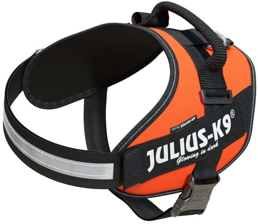 Julius-K9 IDC Powerharness UV Oranžinė – Premium reguliuojama pavadėlio jungtis, 4 dydis, itin ryškus dizainas