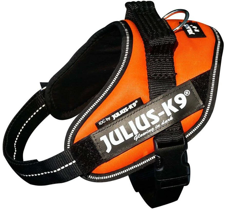Julius-K9 IDC Powerharness UV Oranžinė – Premium reguliuojama pavadėlio jungtis, 4 dydis, itin ryškus dizainas
