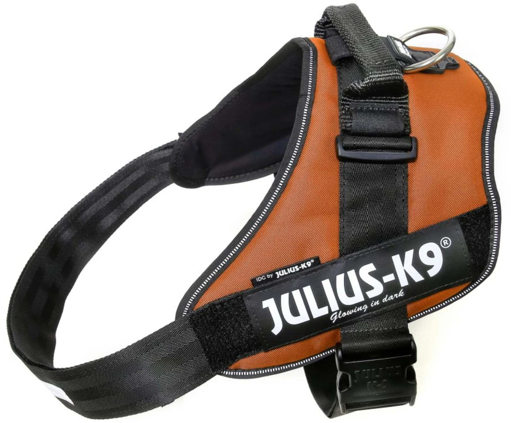 Julius-K9 IDC Powerharness UV Oranžinė – Premium reguliuojama pavadėlio jungtis, 4 dydis, itin ryškus dizainas