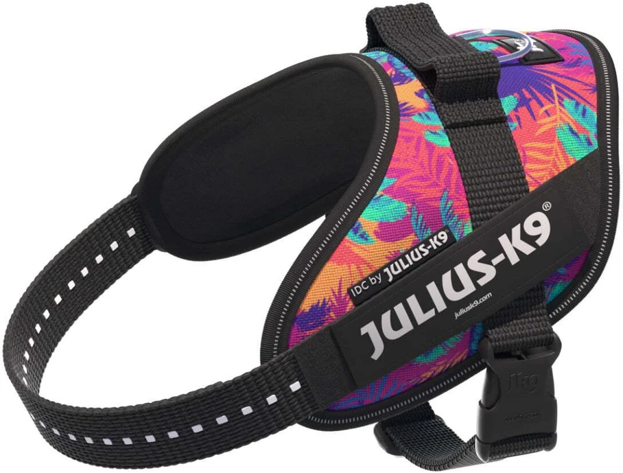 Julius-K9 IDC Powerharness Vibe – Atspindinti šunų pavadėlio diržas, Palm Tree raštas, Mini dydis