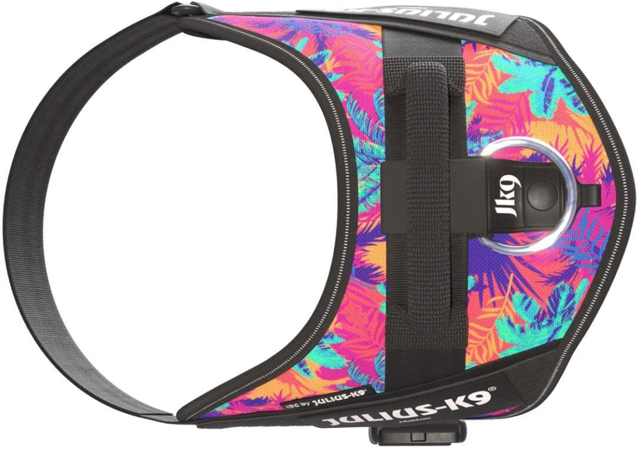 Julius-K9 IDC Powerharness Vibe – Atspindinti šunų pavadėlio diržas, Palm Tree raštas, Mini dydis